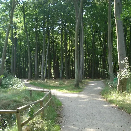 Wasserturm Zwölf *